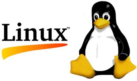 Linux Bash Shell Useful Commands